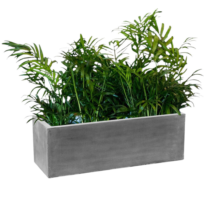 Pot à fleurs rectangulaire moderne en fibre de verre, Gris, H 12 po x l 31 po x P 12 po