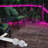 Commercial Grade Plug-in Neon LED Rope Lights IP67 Waterproof-1220273789