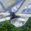 Photos des clients 3 de 4