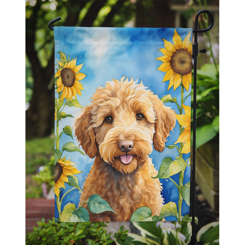 Lévrier irlandais dans le drapeau du jardin de tournesols, Labradoodle
