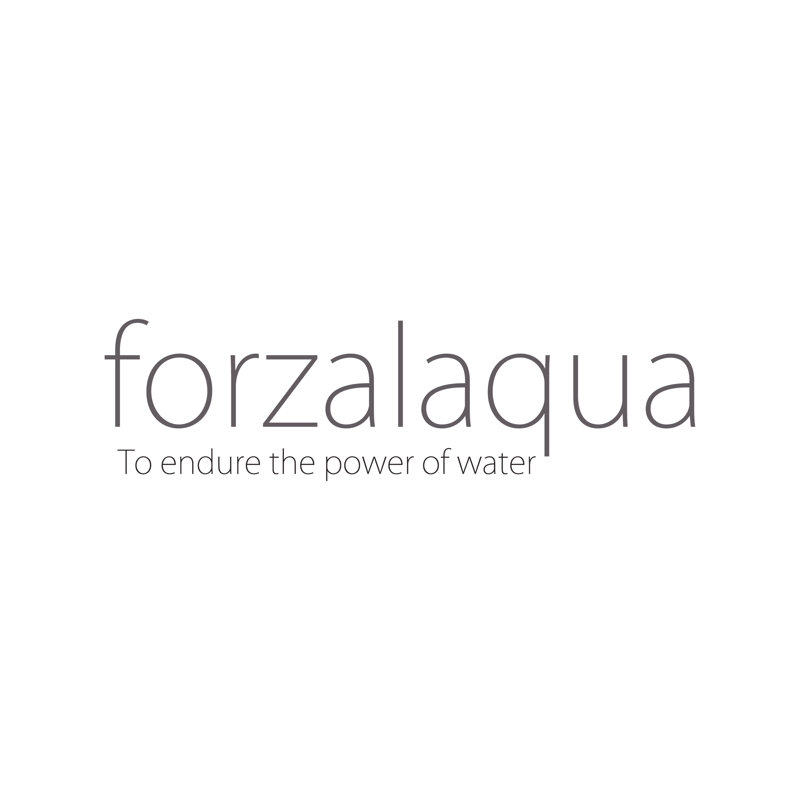 Forzalaqua 6.3cm Pop-Up Bathroom Sink Drain Waste, Silver