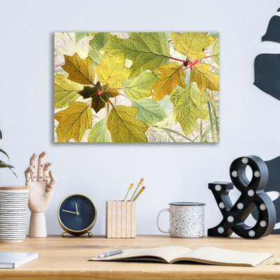" Golden Oak " by Judy Stalus