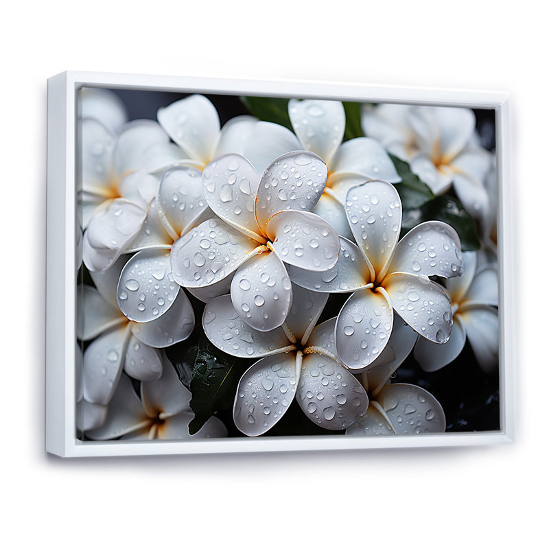Plumeria pluvieux paradis sur toile, Cadre flottant blanc, H 12 po x l 20 po x P 1 po