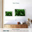 Palmier forêt-2126854796-2126854789
