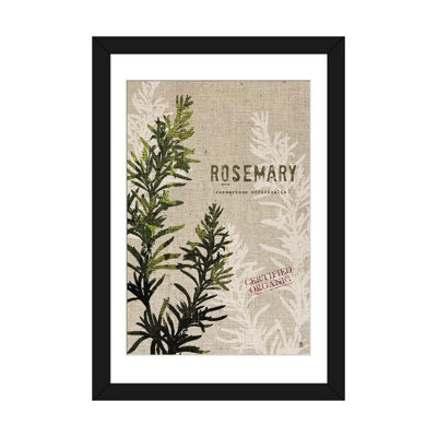 " Organic Rosemary, No Butterfly " by Studio Mousseau