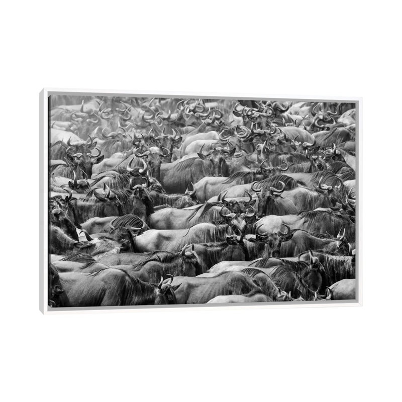 Wildbeests by Torsteinn H. Ingibergsson - Floater Frame Print on Canvas, 66.04 cm H x 45.72 cm W, White Floater Frame
