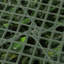 100cm Faux Onion Grass Hedge in Planter