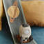 Ride And Roll Milkyway 5" X 10"X 8"