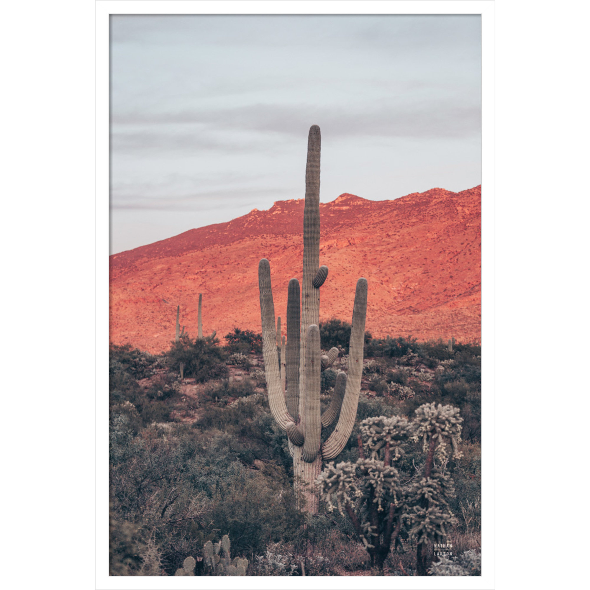 Sunsets And Saguaros by Nathan Larson, White, 33" H x 23" W x 1" D