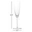 Schott Zwiesel Era Crystal Glass, 7 Oz. Champagne (Set of 4), Clear