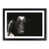 Black Framed selected