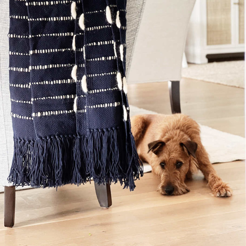 Pampa Hand Woven Throw Blanket, Midnight
