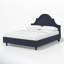 Lit plateforme tapissier Knipe-500849875-459704266