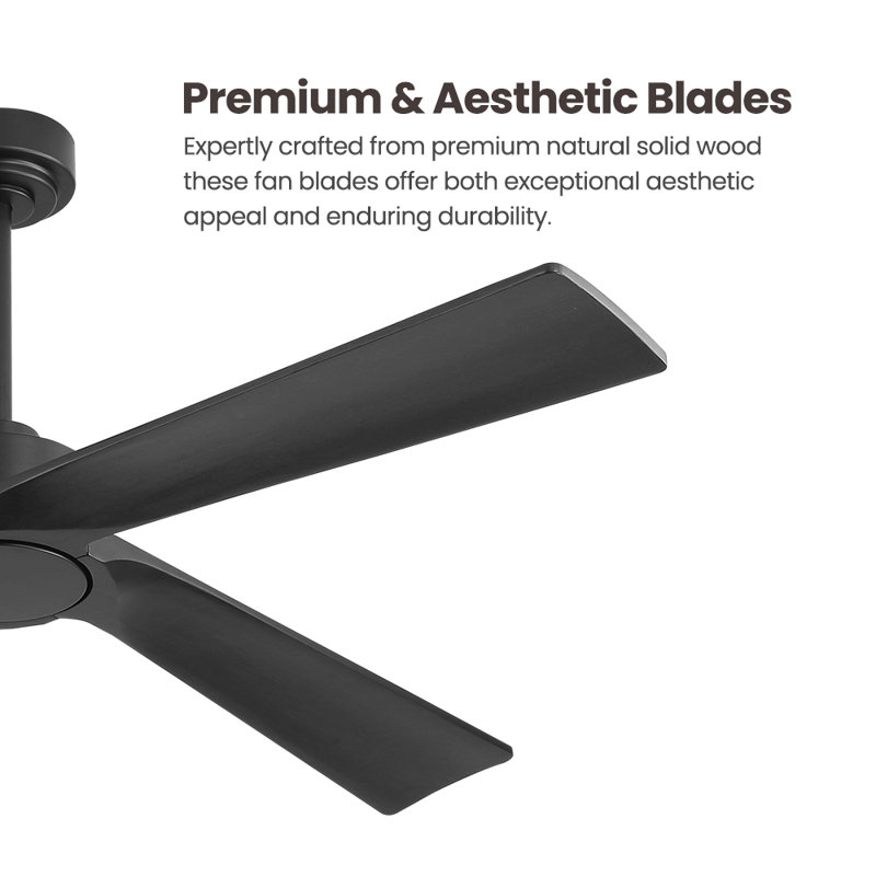 4-Solid Wood Blades Indoor Standard Ceiling Fan with Remote Down-Rod Mount, 54inch, Black, Black