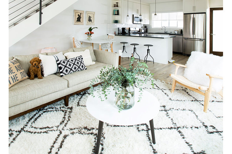 Modern neutral open living room and kitchen