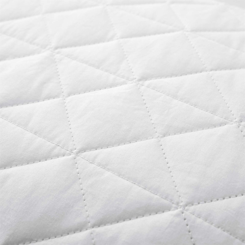  Ensemble de 2 oreillers en plumes d'oie grise de qualité supérieure pour le sommeil - housse 100% coton respirant naturel - support moyen pour ceux qui dorment sur le dos et sur le côté