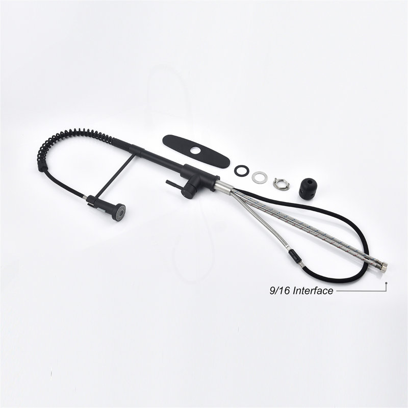 Kitchen Faucet With Pull Out Spraye