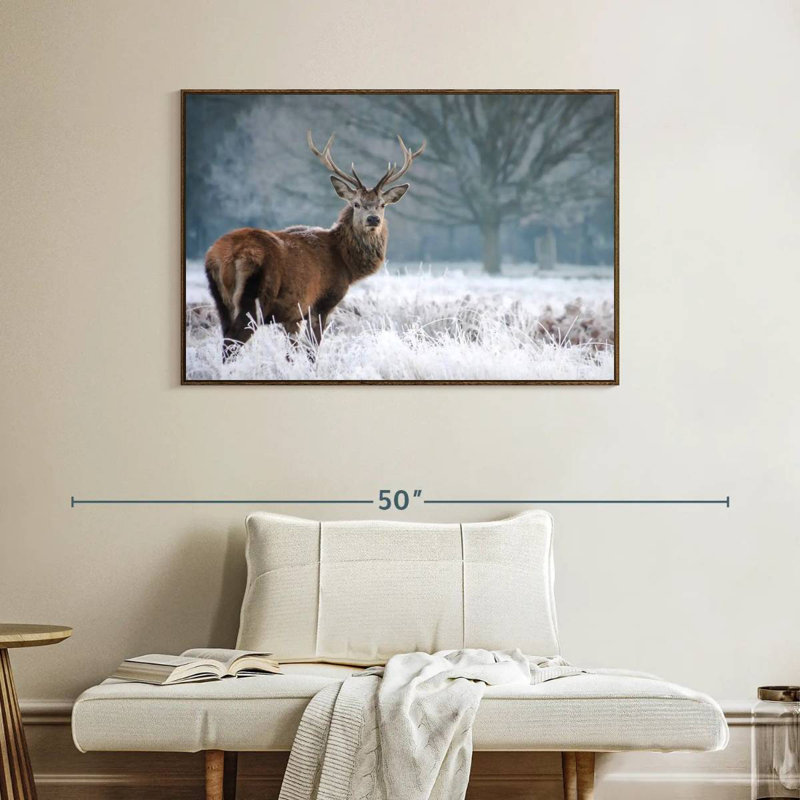 Cerf Stare, Cadre flottant noyer, 40 po x 27 po
