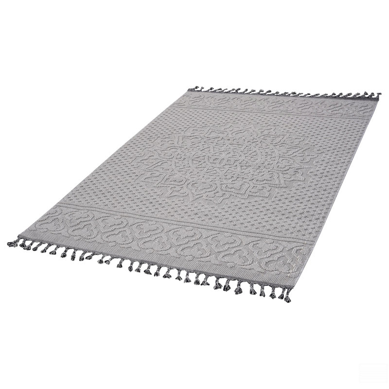 Tapis intérieur / extérieur 4X6, Rectangle 4 pi x 6 pi 2 po