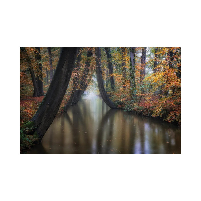 Enchanted Autumn by Fiorenzo Carozzi - Wrapped Canvas Print, 30.48 cm H x 45.72 cm W