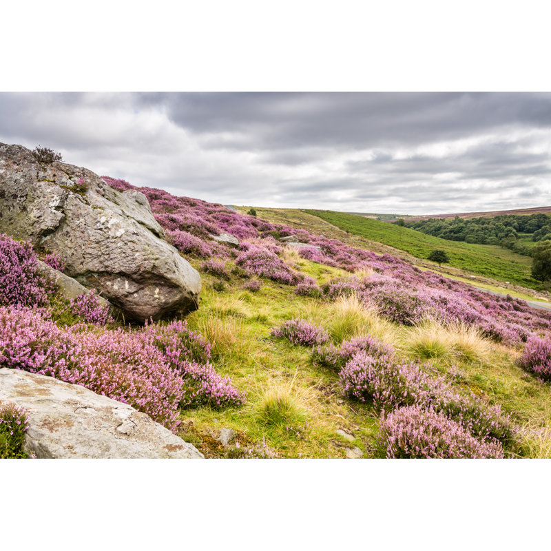 Goathland Moor by Daverhead - Wrapped Canvas Print, 61cm H x 91cm W