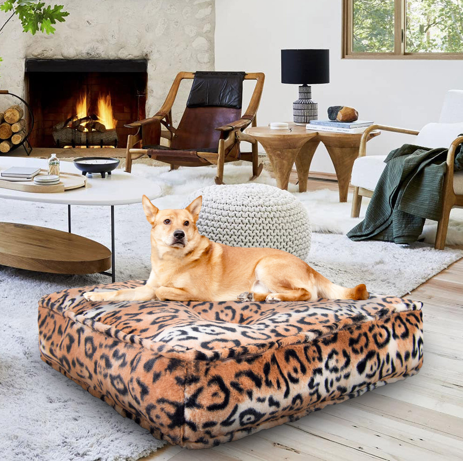 https://assets.wfcdn.com/im/60173557/compr-r85/1211/121199260/rainbolt-chepard-shag-faux-fur-sicilian-dog-pillowclassic.jpg