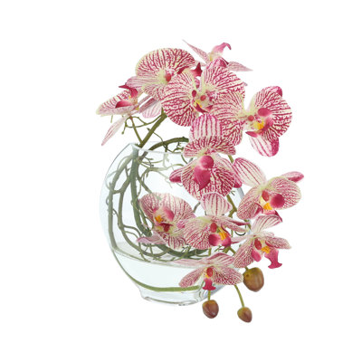 Orchid and Vine Arrangement in Glass Vase