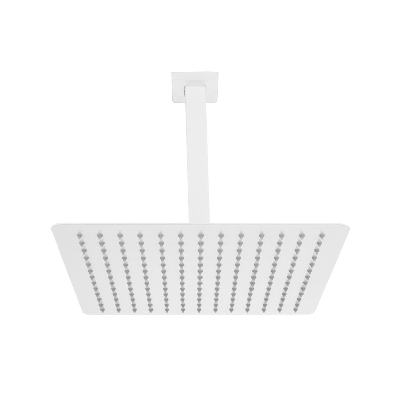 Pomme de douche Rain, Blanc