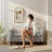 50 Inches Storage Ottoman, End Of Bed Bench With Rolled Arms, Wood Legs, Button Tufted Storage Bench, Gray-587145768