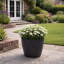 Taylur Pot Planter-112123025-112123026