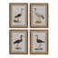 Wading Bird Prints, Set of 4