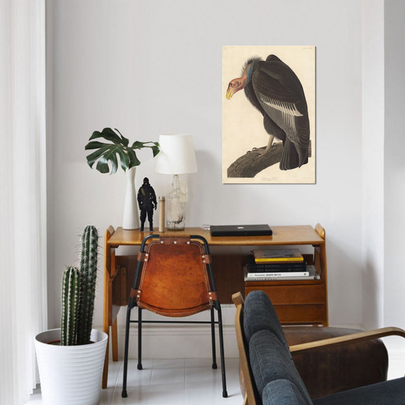 « californian vulture », impression sur toile, H 26 po x l 18 po x P 1,5 po, Toile tendue, Non mat