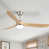 Natural Wood Blade/Satin Nickel Fan Body