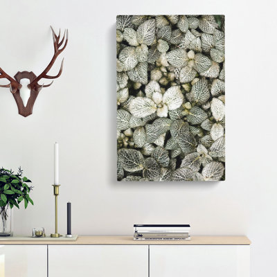 Plant Leaves Abstract - Wrapped Canvas