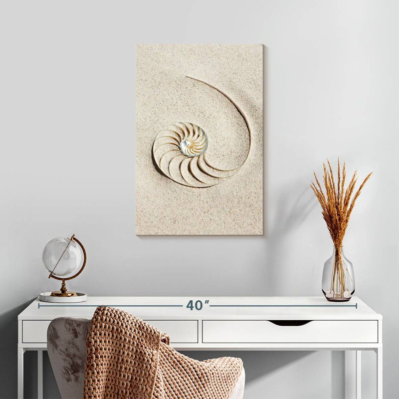 Brampt Nautilus Shell In Sand, 24" H x 16" W