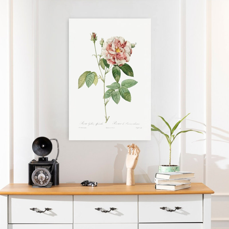 Rosa Gallica, art abstrait rétro rétro avec paysage floral, H 24 po x l 16 po