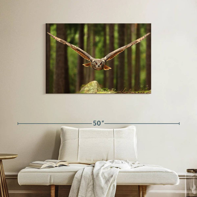 Crowle Eurasian Owl, 26" H x 39" W