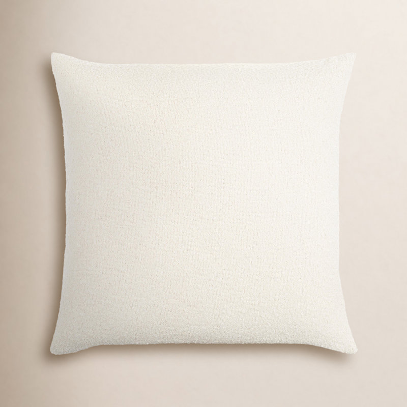 Ellender Accent Throw Pillow with Fill, 20" x 20", Down
