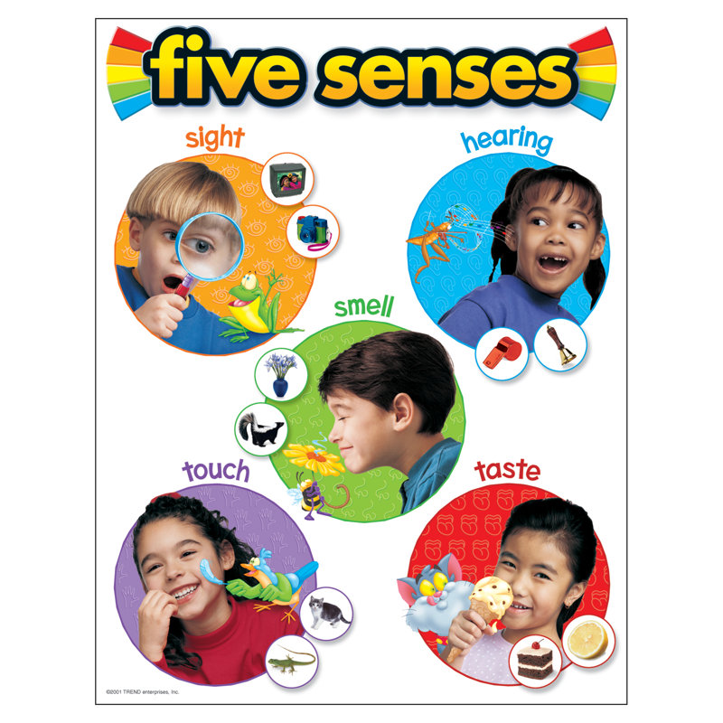 Graphique à cinq senses