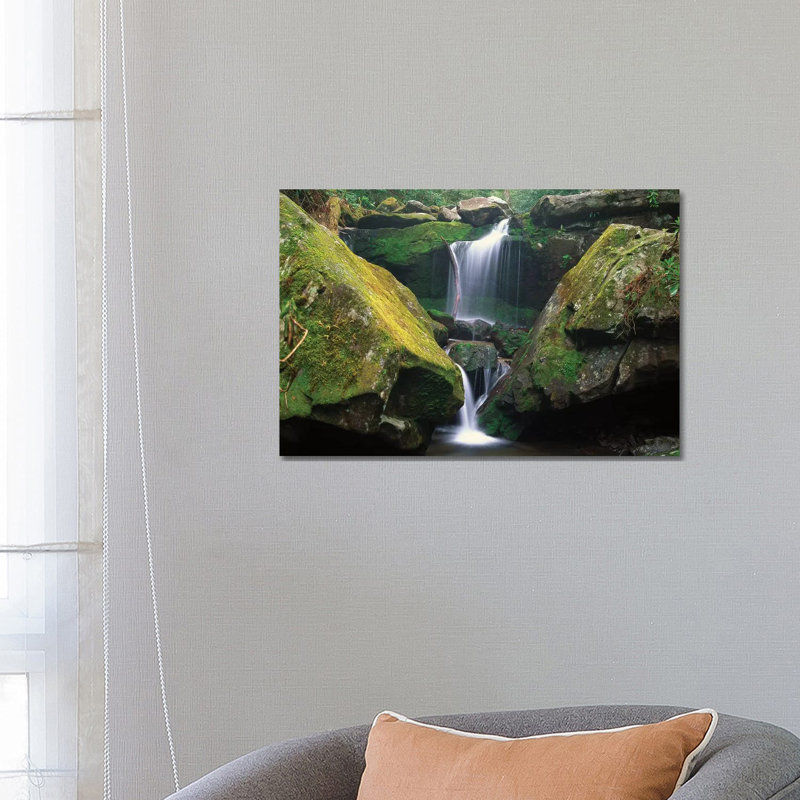 Cascade Near Grotto Falls, Great Smoky Mountains National Park by Tim Fitzharris - Wrapped Canvas Print