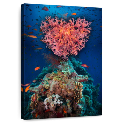 Coral Heart