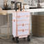 Plastic Makeup Organiser