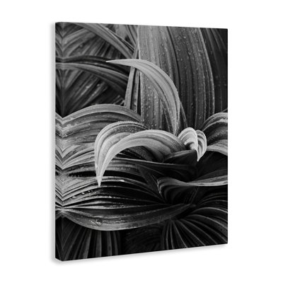 «Wet Leaves», art mural sur toile par Chip Forelli