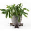 Zumalai Weather Resistant Planter Feet