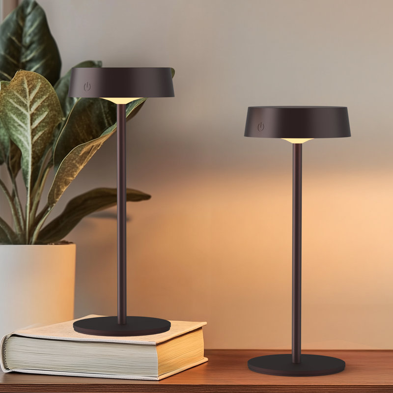 2 Pack Cordless LED Table Lamp, USB Rechargeable + Solar Powered Outdoor Lamps, Dimmable, 3 Colors, 4000mAh Battery, Brown