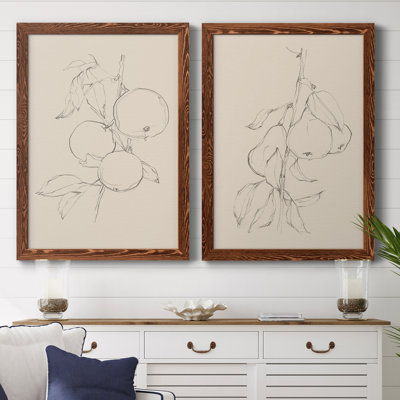 «Fruit Contour Study I», toile encadrée de qualité supérieure - prête à être accrochée