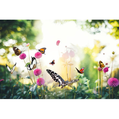 Flowers with Butterflies by Borchee