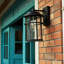 Schlesinger Seeded Glass Outdoor Wall Light-1247860708