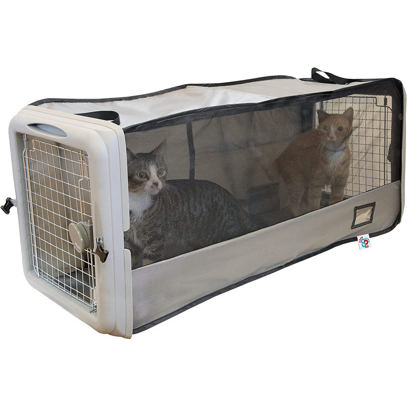 Daviyon Plastic Pet Carrier