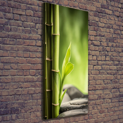 Bamboo - Wrapped Canvas Print